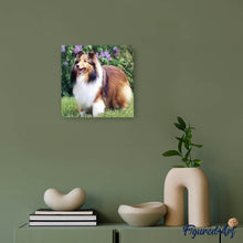Charger l'image dans la galerie, Broderie Diamant | Broderie Diamant - Colley dans le Jardin | animaux Broderie Animaux | FiguredArt