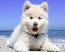 Charger l'image dans la galerie, Broderie Diamant | Broderie Diamant - Chien sur la Plage | animaux Broderie Animaux chiens | FiguredArt