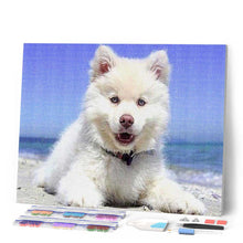 Charger l'image dans la galerie, Broderie Diamant | Broderie Diamant - Chien sur la Plage | animaux Broderie Animaux chiens | FiguredArt