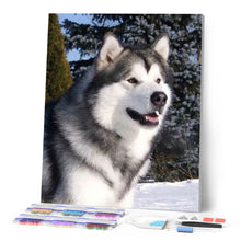 Charger l'image dans la galerie, Broderie Diamant | Broderie Diamant - Husky dans la Neige | animaux Broderie Animaux hiver | FiguredArt