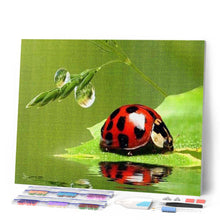 Charger l'image dans la galerie, Broderie Diamant | Broderie Diamant - Coccinelle | animaux Broderie Animaux | FiguredArt