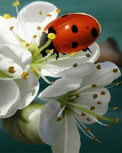 Charger l'image dans la galerie, Broderie Diamant | Broderie Diamant - Coccinelle et Fleurs | animaux Broderie Animaux fleurs | FiguredArt