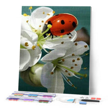 Charger l'image dans la galerie, Broderie Diamant | Broderie Diamant - Coccinelle et Fleurs | animaux Broderie Animaux fleurs | FiguredArt