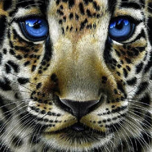 Charger l'image dans la galerie, Broderie Diamant | Broderie Diamant - Léopard aux Yeux bleus | animaux Broderie Animaux léopards | FiguredArt