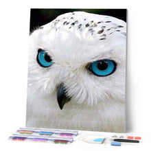 Charger l'image dans la galerie, Broderie Diamant | Broderie Diamant - Regard perçant | animaux Broderie Animaux | FiguredArt