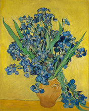 Charger l'image dans la galerie, Diamond Painting - Broderie Diamant - Vase avec iris - Van Gogh