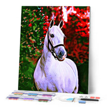 Charger l'image dans la galerie, Broderie Diamant - Diamond Painting Cheval et fond coloré
