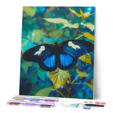 Charger l'image dans la galerie, Broderie Diamant - Papillon Heliconius Cydno