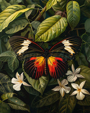 Charger l&#39;image dans la galerie, Diamond Painting - Broderie Diamant - Papillon Heliconius Erato