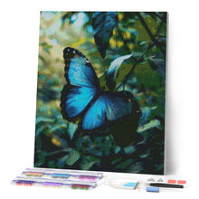 Charger l'image dans la galerie, Broderie Diamant - Papillon Morpho Bleu 40x50cm toile tendue sur châssis
