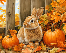 Charger l'image dans la galerie, Diamond Painting - Broderie Diamant - Lapin et citrouilles 40x50cm toile tendue sur châssis