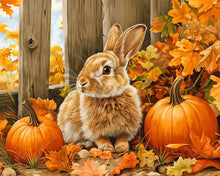 Charger l&#39;image dans la galerie, Diamond Painting - Broderie Diamant - Lapin et citrouilles 40x50cm toile tendue sur châssis