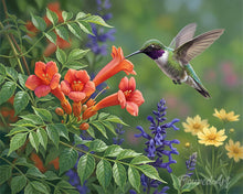 Charger l'image dans la galerie, Diamond Painting - Diamond Painting - Havre des Colibris