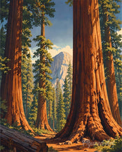 Charger l'image dans la galerie, Diamond Painting - Diamond Painting - Parc national de Yosemite, Mariposa Grove - Californie