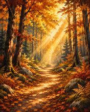 Charger l'image dans la galerie, Diamond Painting - Diamond Painting - Sentier Forestier et rayons de Soleil