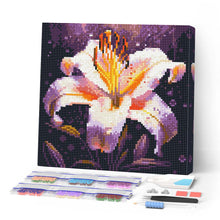 Charger l'image dans la galerie, Mini Diamond Painting 25x25cm - Broderie Diamant Épanouissement de Lys