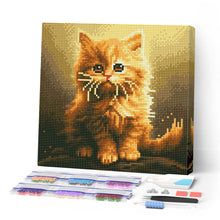 Charger l'image dans la galerie, Mini Diamond Painting 25x25cm - Broderie Diamant Mignon Petit Chaton Orange