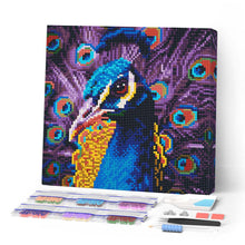 Charger l'image dans la galerie, Mini Diamond Painting 25x25cm - Broderie Diamant Paon Élégant