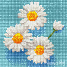 Charger l'image dans la galerie, Mini Diamond Painting 25x25cm - Jolies Marguerites Blanches