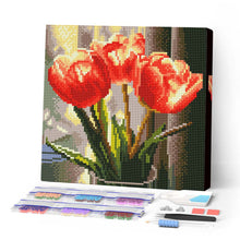 Charger l'image dans la galerie, Mini Diamond Painting 25x25cm - Broderie Diamant Tulipes Pêche
