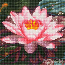 Charger l'image dans la galerie, Mini Diamond Painting 25x25cm - Nénuphar Rose
