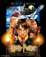 Charger l'image dans la galerie, Broderie Diamant - Harry Potter à l'École des Sorciers Affiche 40x50cm toile tendue sur châssis