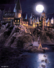 Charger l'image dans la galerie, Broderie Diamant - Château de Poudlard la Nuit - Harry Potter 40x50cm toile tendue sur châssis