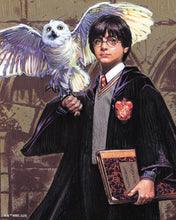 Charger l'image dans la galerie, Broderie Diamant - Harry Potter et Hedwige 40x50cm toile tendue sur châssis