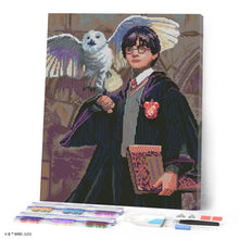 Charger l'image dans la galerie, Diamond Painting - Broderie Diamant - Harry Potter et Hedwige 40x50cm toile tendue sur châssis