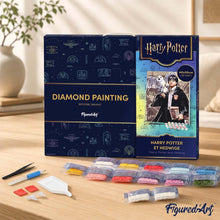 Charger l'image dans la galerie, Broderie Diamant - Harry Potter et Hedwige 40x50cm toile tendue sur châssis