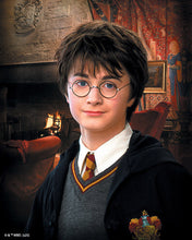 Charger l'image dans la galerie, Broderie Diamant - Portrait de Harry Potter 40x50cm toile tendue sur châssis