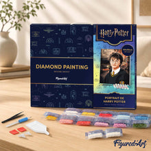Charger l'image dans la galerie, Broderie Diamant - Portrait de Harry Potter 40x50cm toile tendue sur châssis