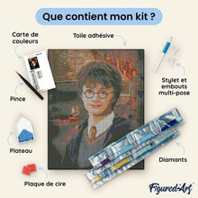 Charger l'image dans la galerie, Broderie Diamant - Portrait de Harry Potter 40x50cm toile tendue sur châssis