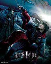 Charger l'image dans la galerie, Broderie Diamant - Harry Potter et la Coupe de Feu Affiche 40x50cm toile tendue sur châssis