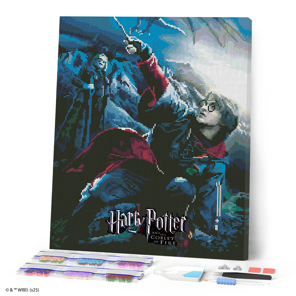 Charger l'image dans la galerie, Broderie Diamant - Harry Potter et la Coupe de Feu Affiche