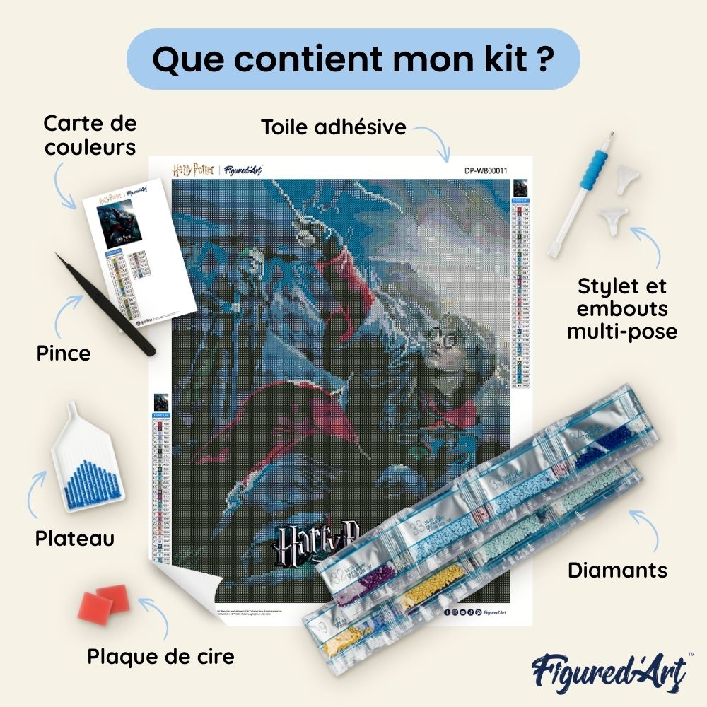 Charger l'image dans la galerie, Broderie Diamant - Harry Potter et la Coupe de Feu Affiche