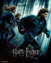 Charger l'image dans la galerie, Broderie Diamant - Harry Potter et les Reliques de la Mort - Partie 1 Affiche 40x50cm toile tendue sur châssis