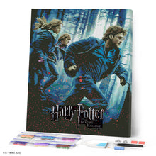 Charger l'image dans la galerie, Diamond Painting - Broderie Diamant - Harry Potter et les Reliques de la Mort - Partie 1 Affiche 40x50cm toile tendue sur châssis