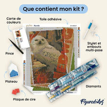 Charger l'image dans la galerie, Broderie Diamant - Harry Potter - Carte Hedwige