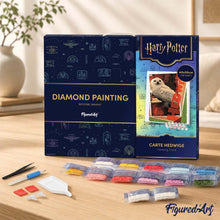 Charger l'image dans la galerie, Broderie Diamant - Carte Hedwige - Harry Potter 40x50cm toile tendue sur châssis