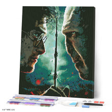 Charger l'image dans la galerie, Diamond Painting - Broderie Diamant - Harry Potter contre Lord Voldemort 40x50cm toile tendue sur châssis