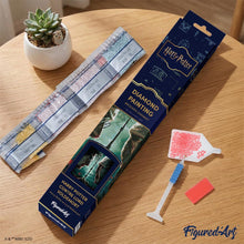 Charger l'image dans la galerie, Broderie Diamant - Harry Potter contre Lord Voldemort