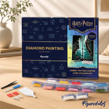 Charger l'image dans la galerie, Broderie Diamant - Harry Potter contre Lord Voldemort 40x50cm toile tendue sur châssis