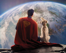 Charger l'image dans la galerie, Broderie Diamant - Superman et Krypto 40x50cm toile tendue sur châssis