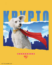 Charger l'image dans la galerie, Broderie Diamant - Krypto avec Horizon - Superman 40x50cm toile tendue sur châssis