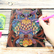 Charger l'image dans la galerie, Cahier de peinture Diamond Art Hibou