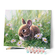 Charger l'image dans la galerie, Peinture par numéros Lapin et marguerites | Figured'Art intermédiaire animaux lapins nouveautés