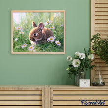 Charger l'image dans la galerie, Peinture par numéros Lapin et marguerites | Figured'Art intermédiaire animaux lapins nouveautés
