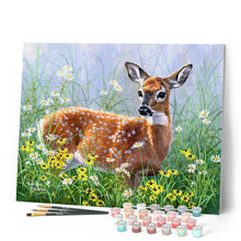 Charger l'image dans la galerie, Peinture par numéros Biche dans la Prairie | Figured'Art intermédiaire animaux rennes et biches nouveautés