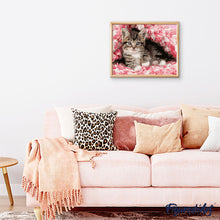 Charger l'image dans la galerie, Peinture par numéros Chaton enrobé | Figured'Art intermédiaire nouveautés animaux chats fleurs